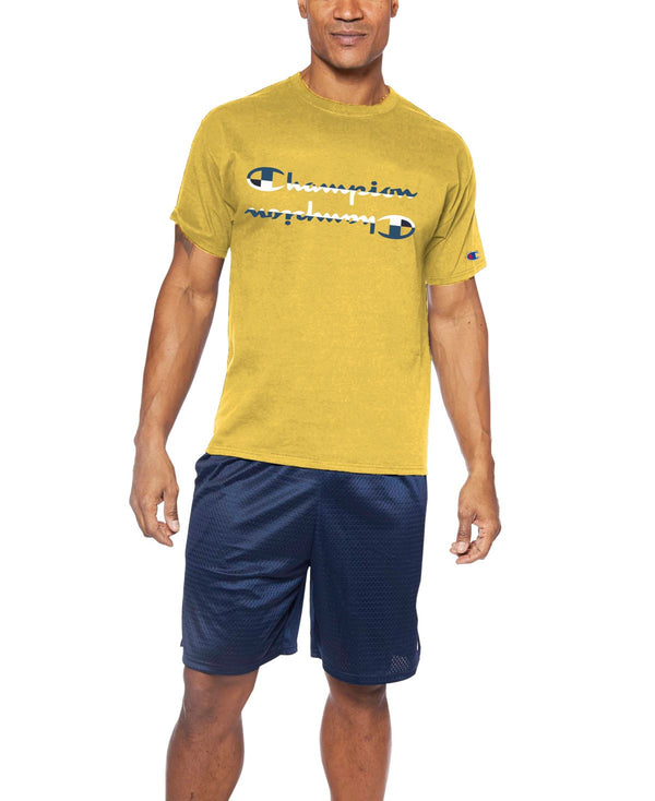 Champion Mens Double-Script Logo Graphic T-Shirt,XXX-Large Tall