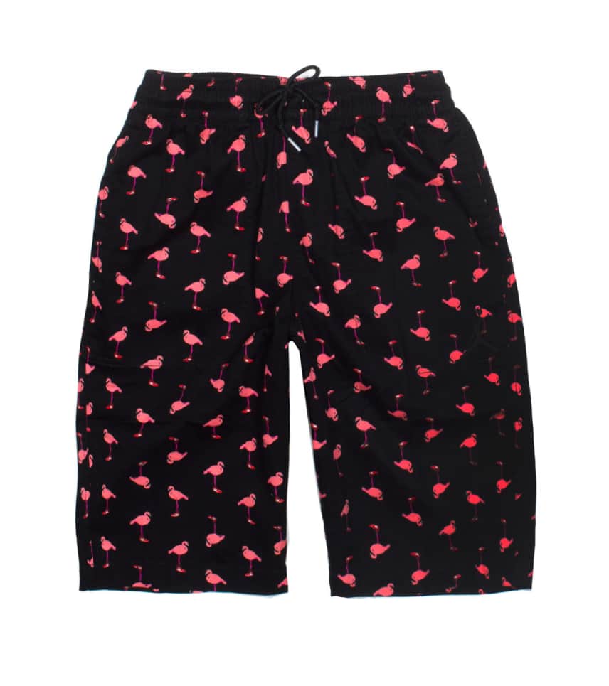 Jordan Mens Printed Retro Flamingo Shorts