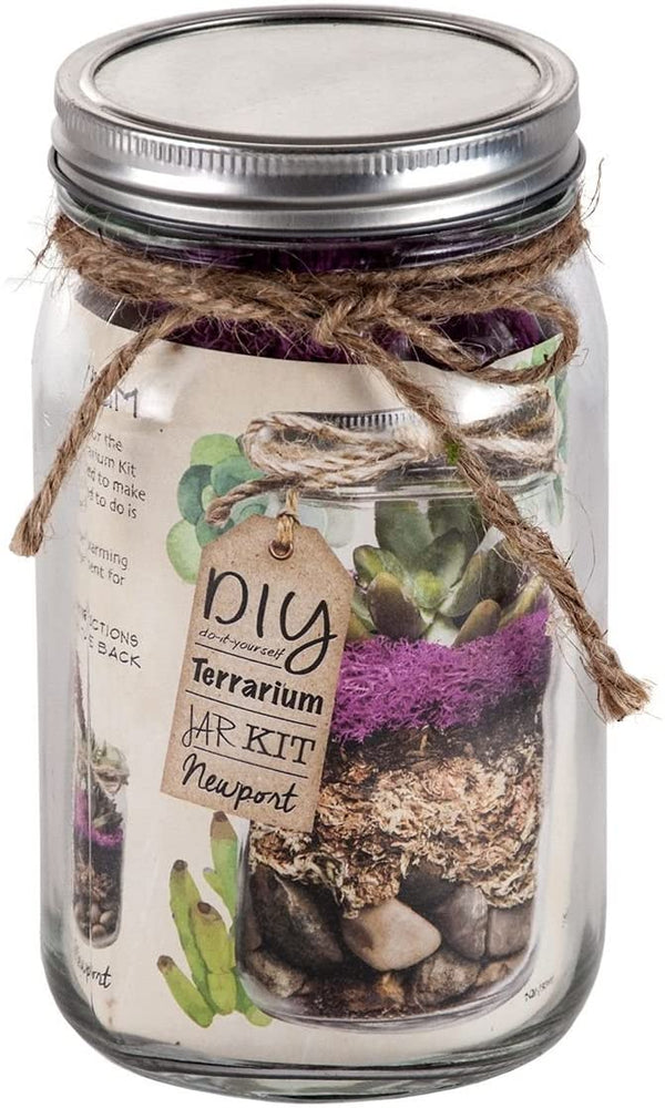Super Moss Diy Terrarium Jar Kit