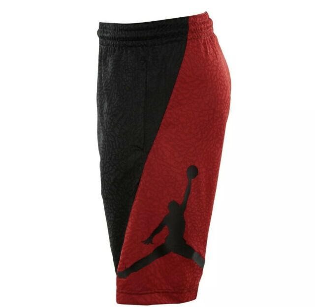Jordan Rise Vertical Mens Basketball Shorts